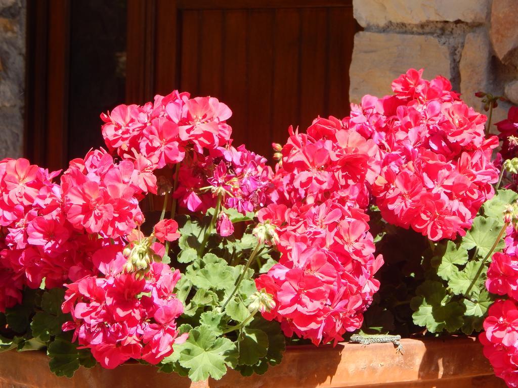 Bed and Breakfast I Lecci Lerici Exterior foto